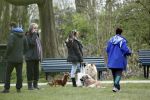 Amsterdam 1 april 2020
Priscilla Nasi ( dochter Patty Brard) heeft cupcakes gebakken voor de hondjes in het park.