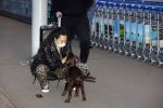 Schiphol 19 maart 2020
Romy Monteiro en haar vriend Jasper Suyk arriveren vanuit bangkok op Schiphol . Moeder Antje en haar partner Dennis halen ze op . Ook hun hondje is erbij.