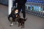 Schiphol 19 maart 2020
Romy Monteiro en haar vriend Jasper Suyk arriveren vanuit bangkok op Schiphol . Moeder Antje en haar partner Dennis halen ze op . Ook hun hondje is erbij.