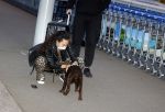 Schiphol 19 maart 2020
Romy Monteiro en haar vriend Jasper Suyk arriveren vanuit bangkok op Schiphol . Moeder Antje en haar partner Dennis halen ze op . Ook hun hondje is erbij.