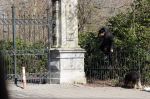 Amsterdam 2 maart 2021
De gemeente heeft op twee na alle ingangen van het vondelpark gesloten.