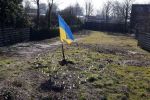 Amsterdam 10 maart 2022
Op het stuk bouwgrond van Ave Maria Putin en haar man is een Oekrainse vlag en een hart van lichtjes geplaatst