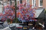 Amsterdam 1 april 2023
Bloemist Menno Kroon  op de cornelis schuytstraat