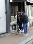 Amsterdam 15 maart 2023
Rolf Snoeren laat zijn hond uit met ... Hond moet poepen op de Utrechtsestraat.