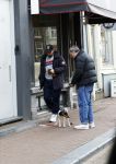 Amsterdam 15 maart 2023
Rolf Snoeren laat zijn hond uit met ... Hond moet poepen op de Utrechtsestraat.