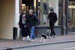 Amsterdam 15 maart 2023
Rolf Snoeren laat zijn hond uit met ... Hond moet poepen op de Utrechtsestraat.