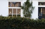 Huizen 25 maart 2023
Het huis van Tom Egbers en janke Dekker staat vol met bloemen .