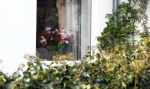 Huizen 25 maart 2023
Het huis van Tom Egbers en janke Dekker staat vol met bloemen .