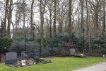 Lage Vuursche 6 maart 2024
Het graf van Prins Friso ligt er netjes bij . Er heeft iemand een bosje bloemen op gelegd.