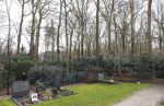 Lage Vuursche 6 maart 2024
Het graf van Prins Friso ligt er netjes bij . Er heeft iemand een bosje bloemen op gelegd.