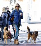 Amsterdam 5 maart 2026
Annekee Molenaar met hun 2 honden op straat in Amsterdam zuid.
