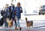 Amsterdam 5 maart 2026
Annekee Molenaar met hun 2 honden op straat in Amsterdam zuid.