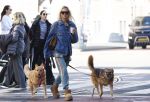 Amsterdam 5 maart 2026
Annekee Molenaar met hun 2 honden op straat in Amsterdam zuid.