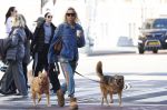 Amsterdam 5 maart 2026
Annekee Molenaar met hun 2 honden op straat in Amsterdam zuid.