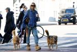 Amsterdam 5 maart 2026
Annekee Molenaar met hun 2 honden op straat in Amsterdam zuid.
