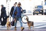 Amsterdam 5 maart 2026
Annekee Molenaar met hun 2 honden op straat in Amsterdam zuid.