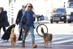 Amsterdam 5 maart 2026
Annekee Molenaar met hun 2 honden op straat in Amsterdam zuid.