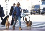 Amsterdam 5 maart 2026
Annekee Molenaar met hun 2 honden op straat in Amsterdam zuid.