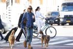 Amsterdam 5 maart 2026
Annekee Molenaar met hun 2 honden op straat in Amsterdam zuid.