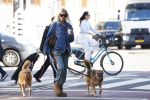 Amsterdam 5 maart 2026
Annekee Molenaar met hun 2 honden op straat in Amsterdam zuid.