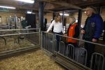 Amsterdam 13 maart 2026
Prinses Beatrix bezoekt kinderboerderij in Amsterdam voor NL Doet