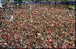 Rotterdam
Feyenoord-supporters op de Coolsingel