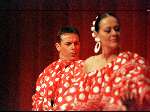 11 April 1999
Flamingdansers uit breda