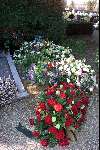 Sittard 25 april 2000
Begrafenis TOON HERMANS
Graf