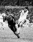 Stuttgart, 25 mei 1988
Berry v Aerle
Finale EC I, PSV-Benfica, eindstand 0-0
PSV wint na strafschoppen.