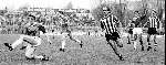 Rotterdam, 22 november 1981
SPARTA-PSV , eindstand 0-2
De oude en nieuwe bondscoaches in akties Louis v Gaal en Dick Advocaat ( geschreven 6 april 2002 )met in het midden Adri v Kraaij, Piet wildschut en michel Valke