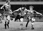 Eindhoven , 22 augustus 1981 
PSV-AJAX
Willy Janssen in duel met Wim Janssen en Dick Schoenaker