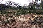 Wassenaar 28 maart 2001
Verbouwing op landgoed de Horsten.
Kappen van bomen