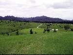 Langkawi 31 mei 2000
3e golfbaan nieuw 9 holes
Golfen in Maleisie