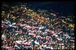 Supporters van PSV op de tribune