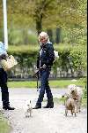 Amsterdam 10 april 2004
Bridget Maasland met hond in vondelpark