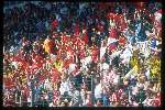 PSV Supporters