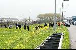Vinkeveen 22 april 2004
De politie zoekt naar iets naast de A2 bij Vinkeveen
Zoekaktie