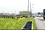 Vinkeveen 22 april 2004
De politie zoekt naar iets naast de A2 bij Vinkeveen
Zoekaktie