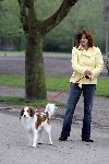 April 19 april 2005
Chazia Mourali in het vondelpark met hond.