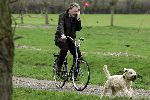 Leiden 6 april 2005
Thom de Graaf op fiets met gsm hond uitlaten.