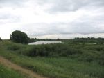Hurwenen, 8 Augustus 2006
(Zaltbommel) De Kil van Hurwenen.( een van de uiterwaarden van de Waal )
Beschermd natuurgebied wat eigendoms is van Staatsbosbeheer