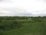 Hurwenen, 8 Augustus 2006
(Zaltbommel) De Kil van Hurwenen.( een van de uiterwaarden van de Waal )
Beschermd natuurgebied wat eigendoms is van Staatsbosbeheer