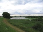 Hurwenen, 8 Augustus 2006
(Zaltbommel) De Kil van Hurwenen.( een van de uiterwaarden van de Waal )
Beschermd natuurgebied wat eigendoms is van Staatsbosbeheer