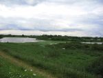 Hurwenen, 8 Augustus 2006
(Zaltbommel) De Kil van Hurwenen.( een van de uiterwaarden van de Waal )
Beschermd natuurgebied wat eigendoms is van Staatsbosbeheer