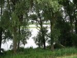 Hurwenen, 8 Augustus 2006
(Zaltbommel) De Kil van Hurwenen.( een van de uiterwaarden van de Waal )
Beschermd natuurgebied wat eigendoms is van Staatsbosbeheer