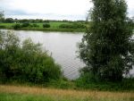 Hurwenen, 8 Augustus 2006
(Zaltbommel) De Kil van Hurwenen.( een van de uiterwaarden van de Waal )
Beschermd natuurgebied wat eigendoms is van Staatsbosbeheer