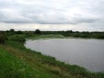 Hurwenen, 8 Augustus 2006
(Zaltbommel) De Kil van Hurwenen.( een van de uiterwaarden van de Waal )
Beschermd natuurgebied wat eigendoms is van Staatsbosbeheer