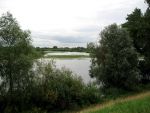 Hurwenen, 8 Augustus 2006
(Zaltbommel) De Kil van Hurwenen.( een van de uiterwaarden van de Waal )
Beschermd natuurgebied wat eigendoms is van Staatsbosbeheer