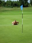 Halfweg, 5 Augustus 2006
Tweede ronde NK Strokeplay Heren op golfbaan 
Floris de Vries met zijn nieuwe kapsel liggend op zijn buik om zijn lijn te lezen