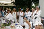 Wassenaar 19 juni 2006
Beau Monde rally met cabrio'
Judith Heinsbroek Laura Vlasblom Monique des Bouvrie en Kitty Leeser
Peter Smulders bv